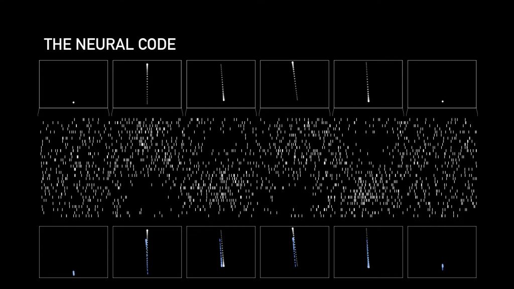 Neuralink-neuron-code