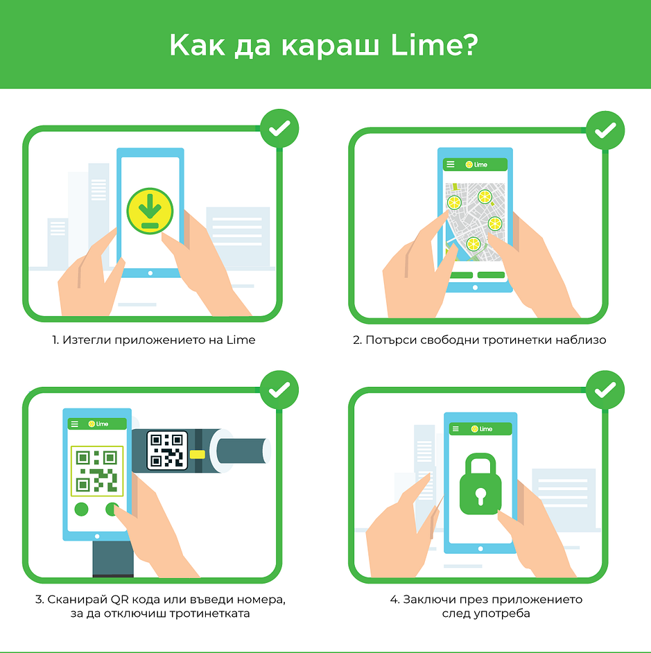 Lime-infographic