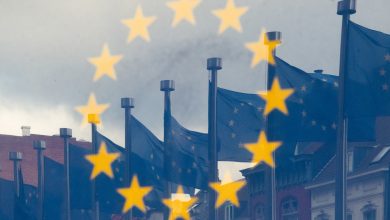 flags and Berlaymont Building